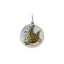 Serenity Medallion-1