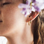 Twist Hoops-2